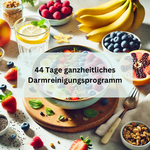 44-Tage-Darm-Reset – Programm für ganzheitliche Darmgesundheit