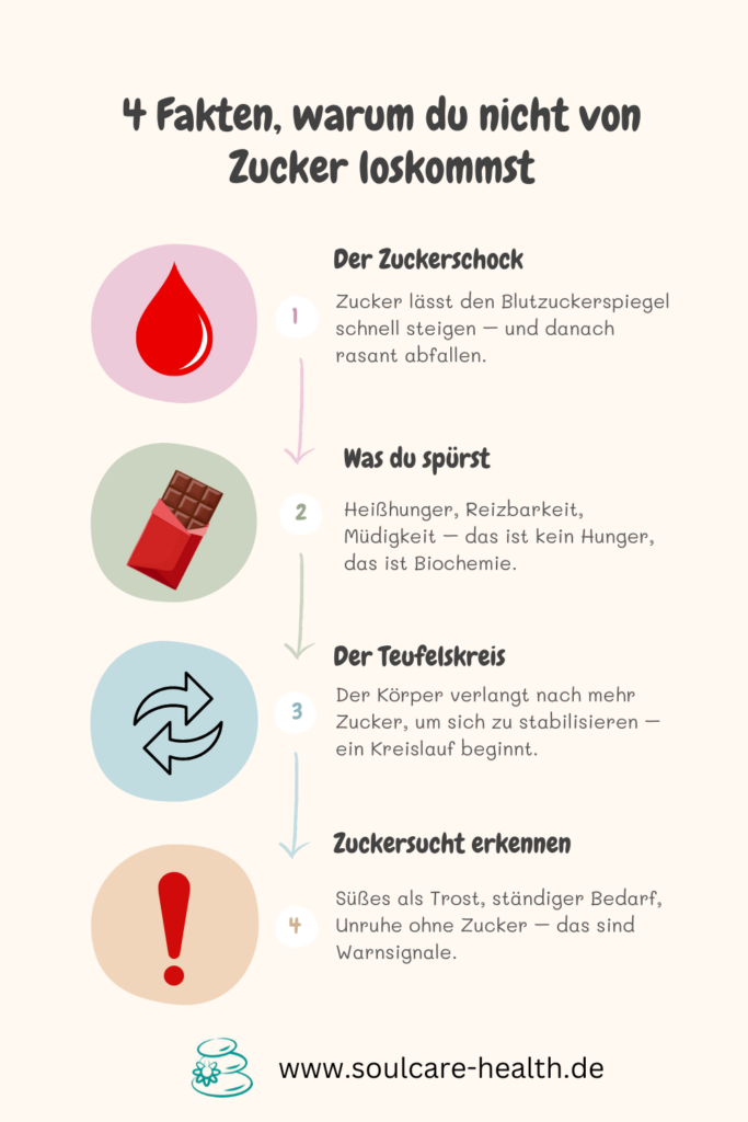 Infografik: 4 Gründe, warum du nicht so leicht von Zucker loskommst – mit Infos zu Blutzuckerschwankungen, Heißhunger, Zuckerabhängigkeit und Ausstiegstipps.