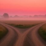 Y-förmiger Feldweg im zarten Morgenlicht – Entscheidung für gesunde Gewohnheiten statt alter Ernährungsmythen.